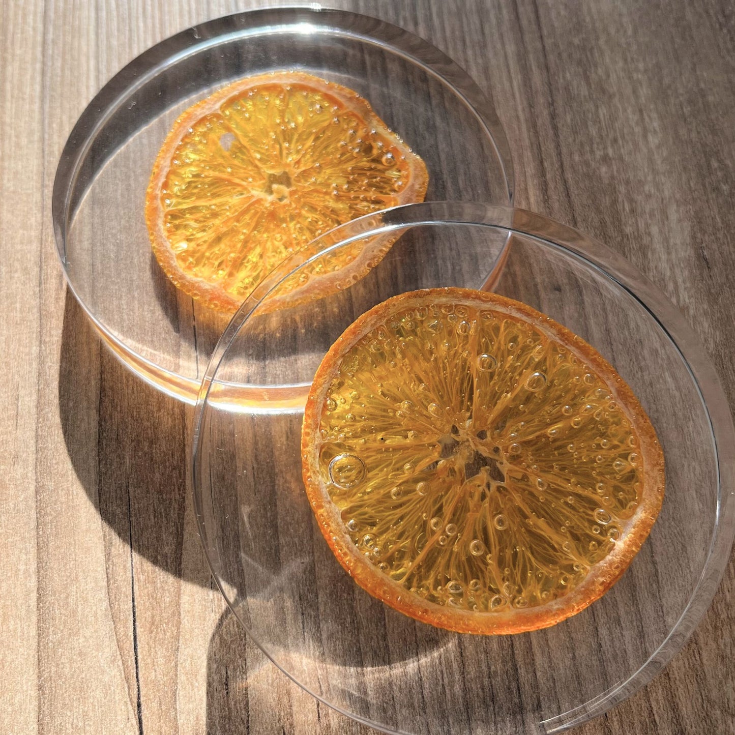Untersetzer mit Orange 2er / 3er / 4er Sets